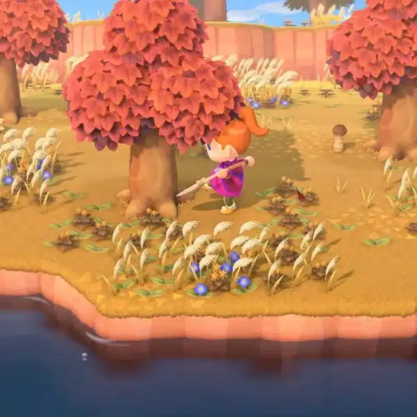 Animal Crossing New Horizons Nintendo Switch