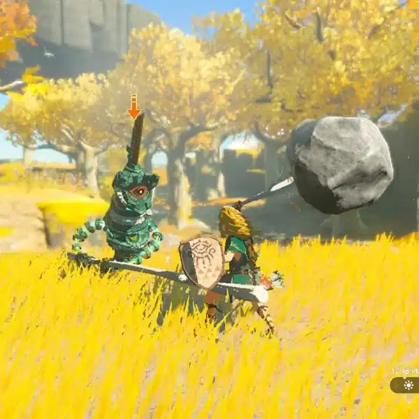 The Legend of Zelda Tears of the Kingdom Nintendo Switch